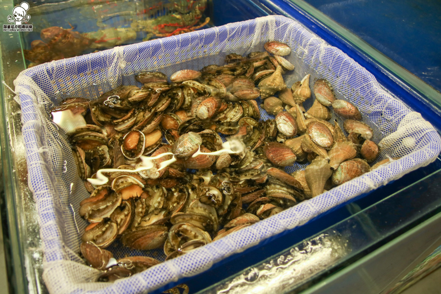 紅頭嶼蒸氣海鮮 蒸鍋 火鍋 海鮮新鮮-2421.jpg 紅頭嶼蒸氣海鮮 蒸鍋 火鍋 海鮮新鮮-2421.jpg