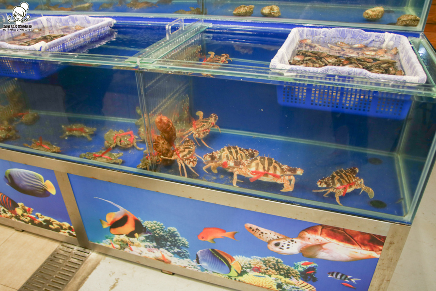 紅頭嶼蒸氣海鮮 蒸鍋 火鍋 海鮮新鮮-2427.jpg 紅頭嶼蒸氣海鮮 蒸鍋 火鍋 海鮮新鮮-2427.jpg