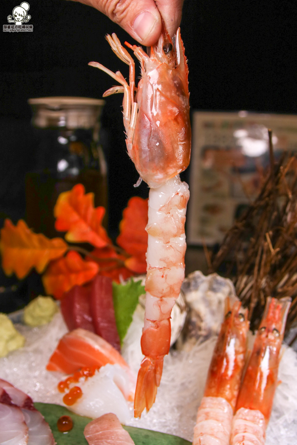 江戶龍 日本料理 平價消費 創意料理-6471.jpg 江戶龍 日本料理 平價消費 創意料理-6471.jpg