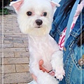 DSC01442s.jpg