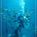 DSC01537.JPG