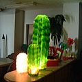 cactus-5.jpg