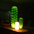 cactus-2.jpg