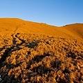 被晨曦所映下的橙紅色大草原，令人不斷停下腳步