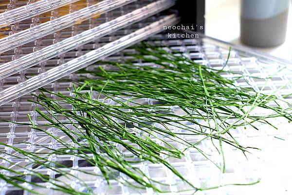 20200707_202323.jpg 20200707_202323.jpg