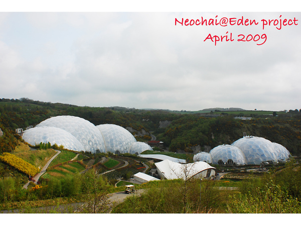 blog-eden project-1.jpg