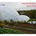 blog-eden project-38.jpg