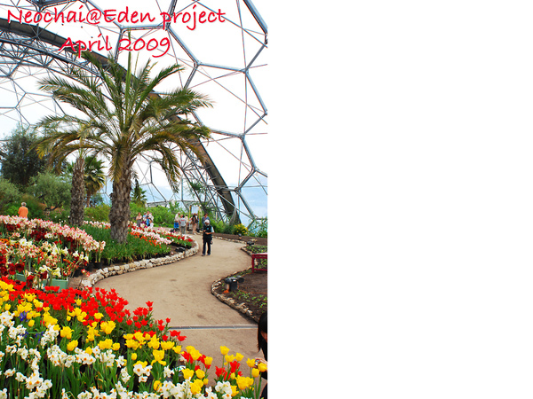 blog-eden project-32.jpg