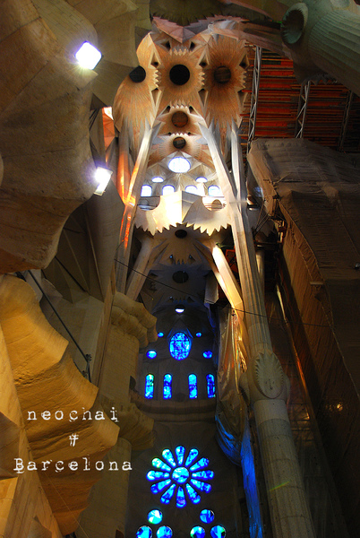 DSC_8984.jpg