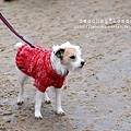 DSCF1215.jpg