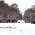 DSCF1208.jpg