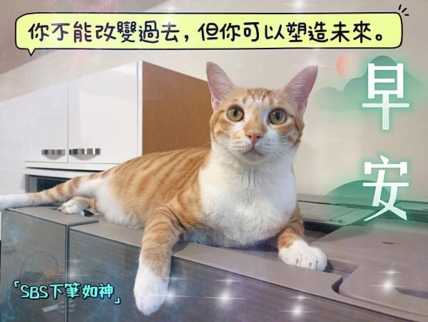 【許乃樺老師/感情挽回/和合術/陽宅風水規劃】豎立榜樣,果行 【許乃樺老師/感情挽回/和合術/陽宅風水規劃】豎立榜樣,果行