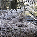 20110206-001.jpg