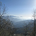 20110205-32.jpg