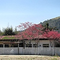 20110205-17.jpg