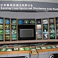 20100627-139.jpg