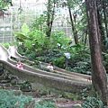 20100627-113.jpg