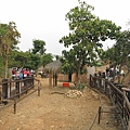 20110405-087.jpg