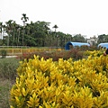 20100101-42.jpg