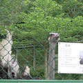 20100627-129.jpg