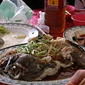 20070304-079.jpg