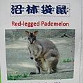 20110405-055.jpg