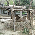 20110405-012.jpg