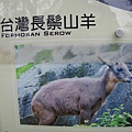 20110405-157.jpg