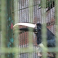 20100627-086.jpg