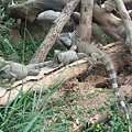 20110405-025.jpg