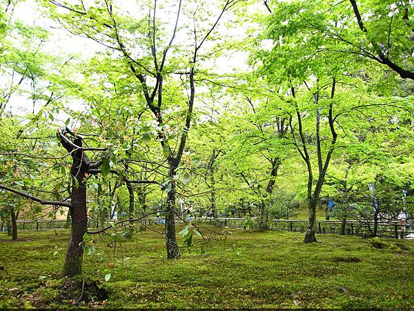 京都行（金閣寺）07.JPG