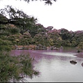 京都行（金閣寺）25.JPG