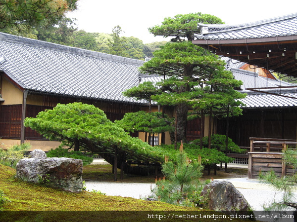 京都行（金閣寺）22.JPG