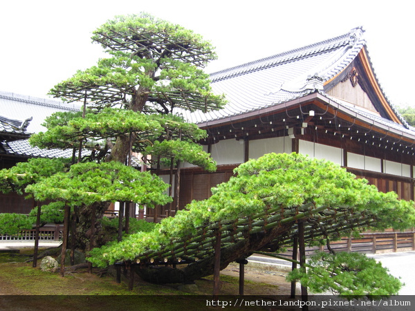 京都行（金閣寺）27.JPG