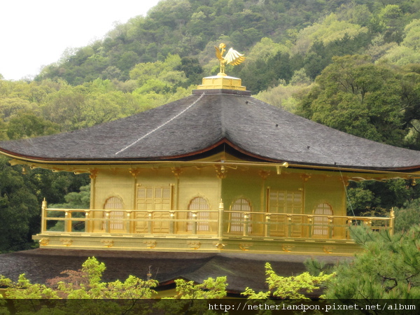 京都行（金閣寺）42.JPG