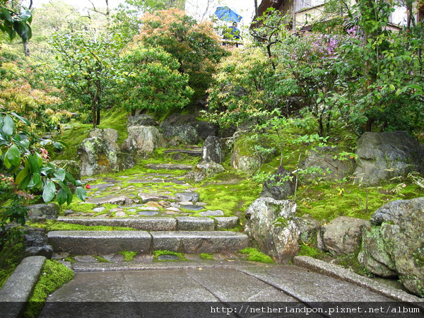 京都行（金閣寺）44.JPG