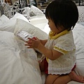P1210642.jpg