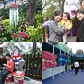 201002060013.jpg