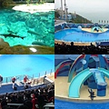 201002060014.jpg
