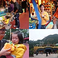 201002060016.jpg