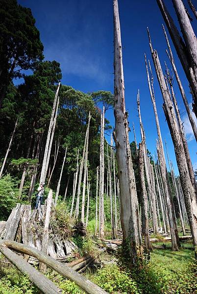 DSC_1289.jpg DSC_1289.jpg