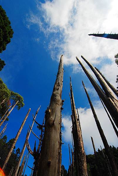 DSC_1294.jpg DSC_1294.jpg
