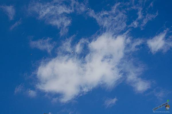 DSC_0572 DSC_0572