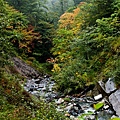 DSC_9396.jpg