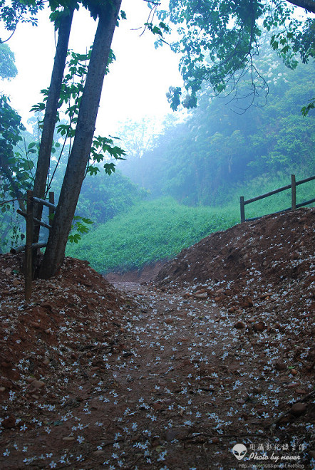 09.jpg 09.jpg