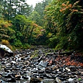 DSC_9372.jpg