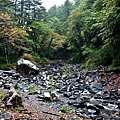 DSC_9376.jpg
