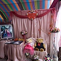 DSC_8842.jpg