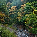 DSC_9366.jpg
