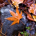 DSC_9392.jpg